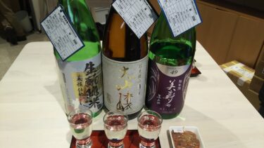 A Guide to Finding Your Favorite Sake: A Comparison with Wine